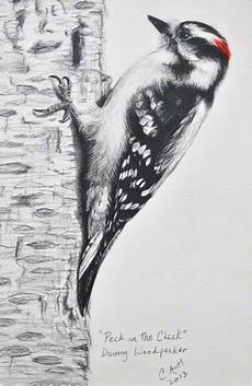 Woodpecker Paint