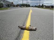 Highway Marking Paint