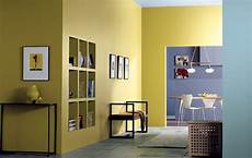 Internal Surface Paints