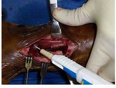 Paint Coagulation