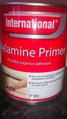Paint Primer