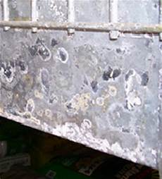 Pre-Painted Zinc Aluminium Coated Steel