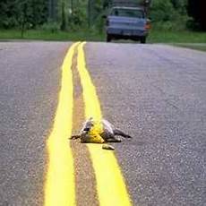 Road Line Paint