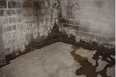 Wet Paint Systems